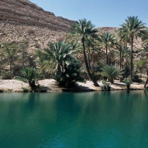 RTC Gruppenreise: 7 Tage Oman komfortabel RTC Gruppenreise: 7 Tage Oman komfortabel