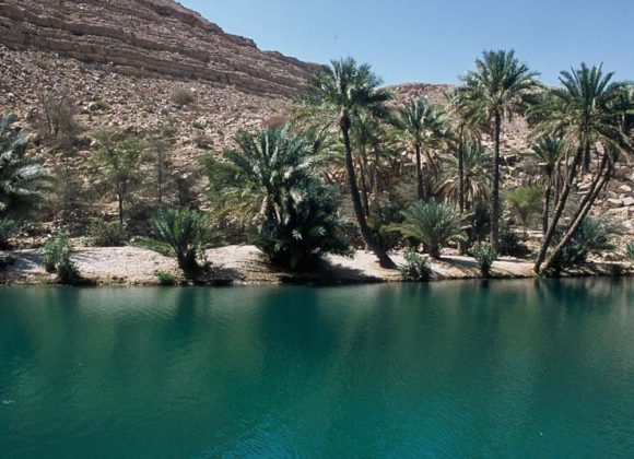 RTC Gruppenreise: 7 Tage Oman komfortabel